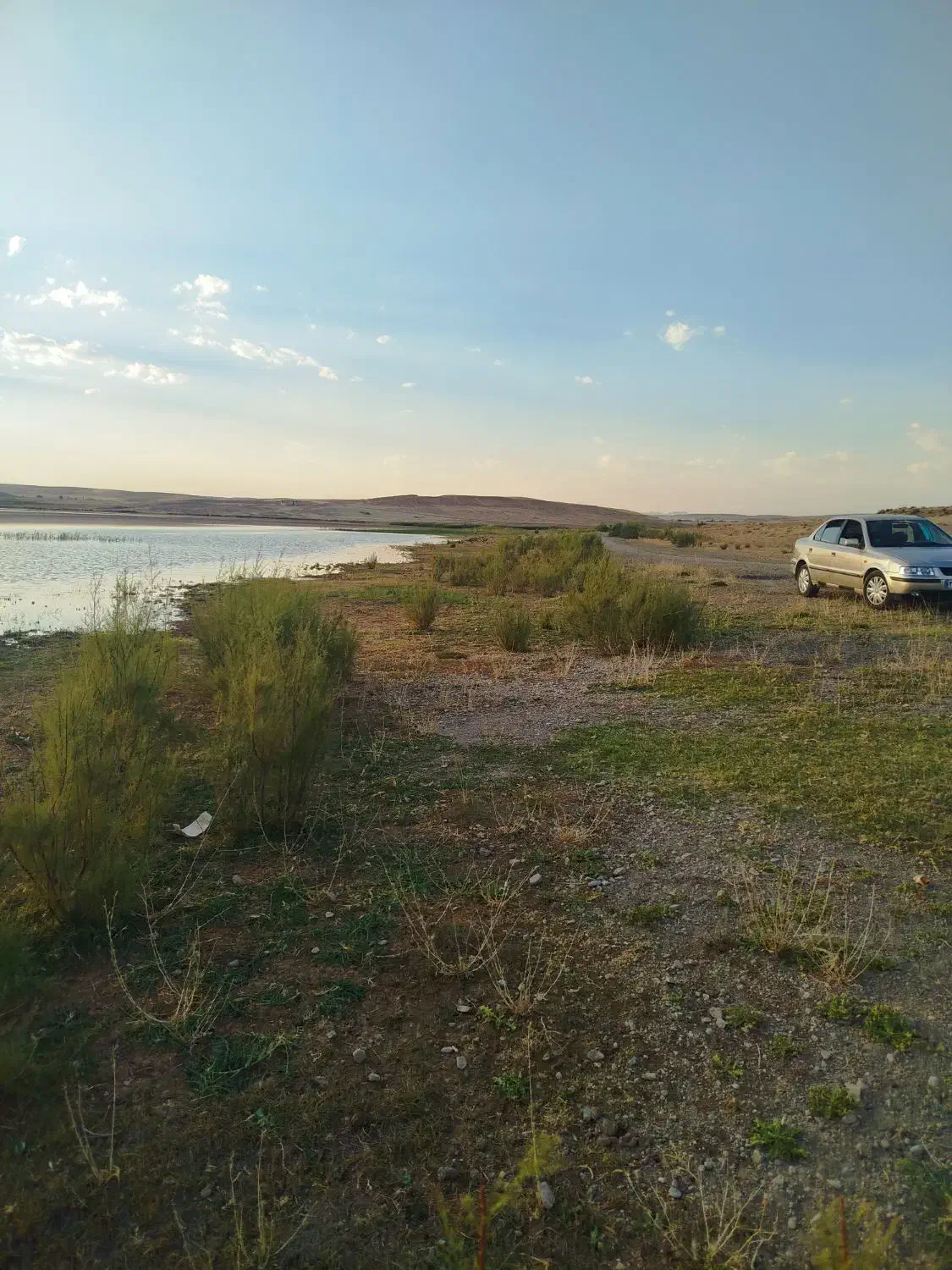 زمین مسکونی ئەسینم|فروش زمین و ملک کلنگی|سروآباد, |دیوار