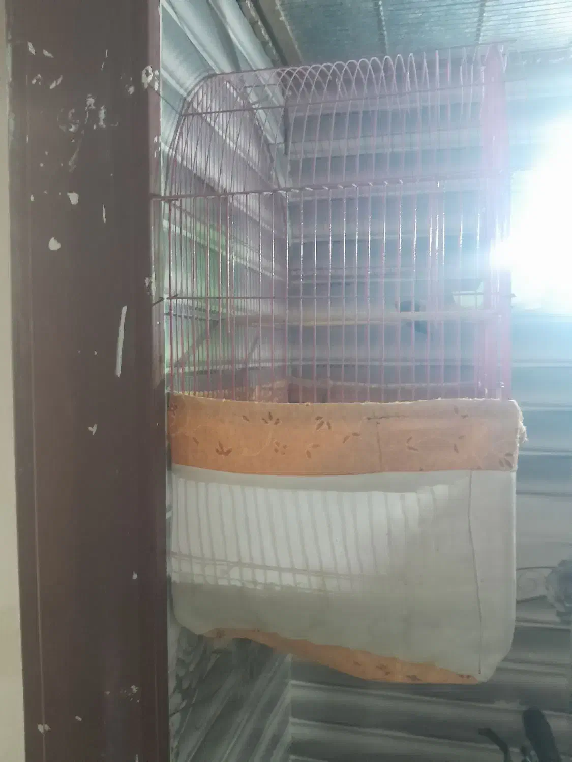 قفس بزرگ دوعدد|لوازم جانبی حیوانات|سرپل ذهاب, |دیوار