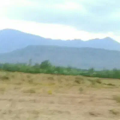 زمین در پایین جاده یالقوزآغاج|فروش دفتر صنعتی، کشاورزی، تجاری|کشکسرای, |دیوار