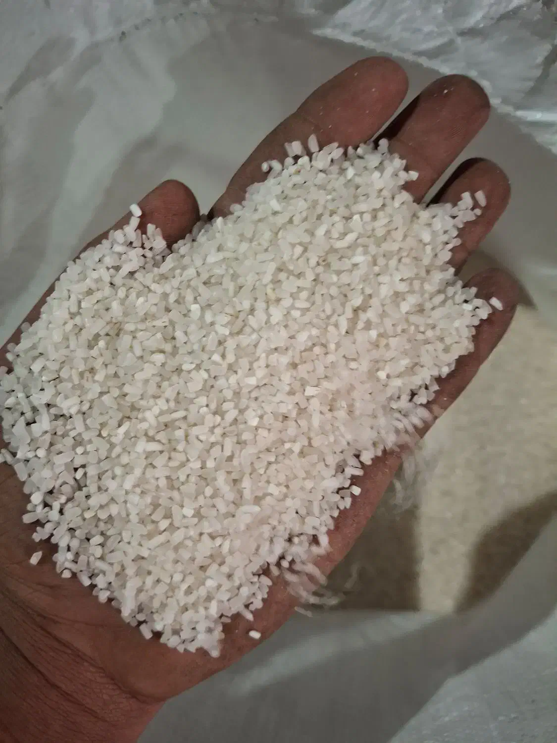 دارخوین جاده اهواز ابادان|خوردنی و آشامیدنی|شادگان, |دیوار