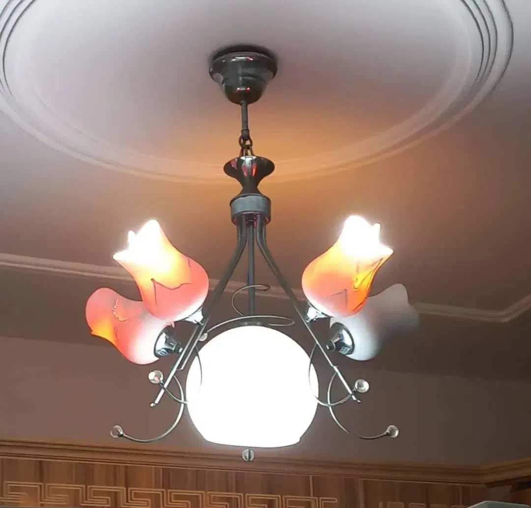 چهار عدد لوستر به همراه آباژور ایستاده|لوستر و چراغ آویز|آستانه اشرفیه, |دیوار