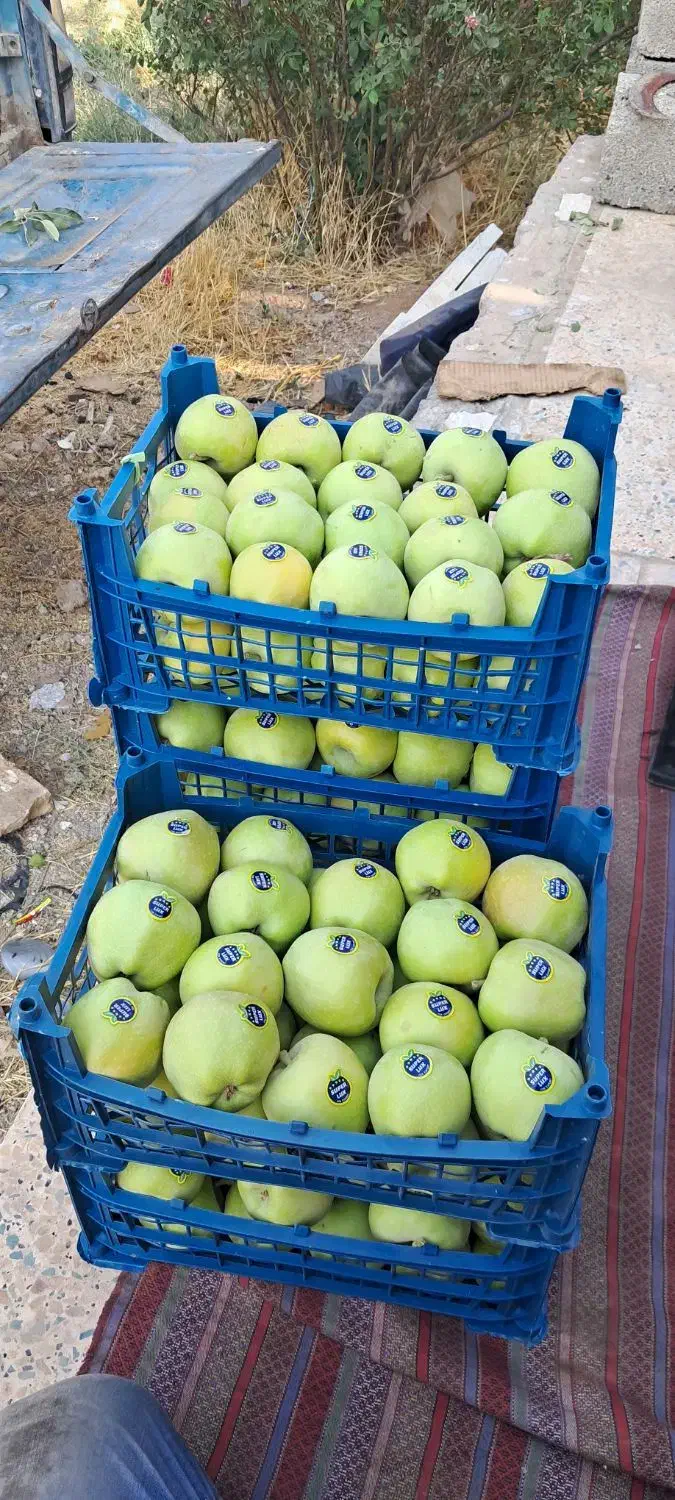 ۷ هکتارباغ و زمین زراعی|فروش دفتر صنعتی، کشاورزی، تجاری|بشاریات, |دیوار