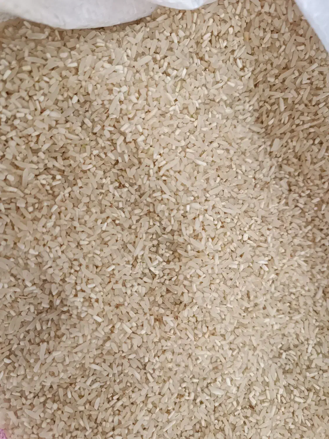 برنج لاشه پشت برنجی  لاشه  نیم دانه|خوردنی و آشامیدنی|گرگان, |دیوار