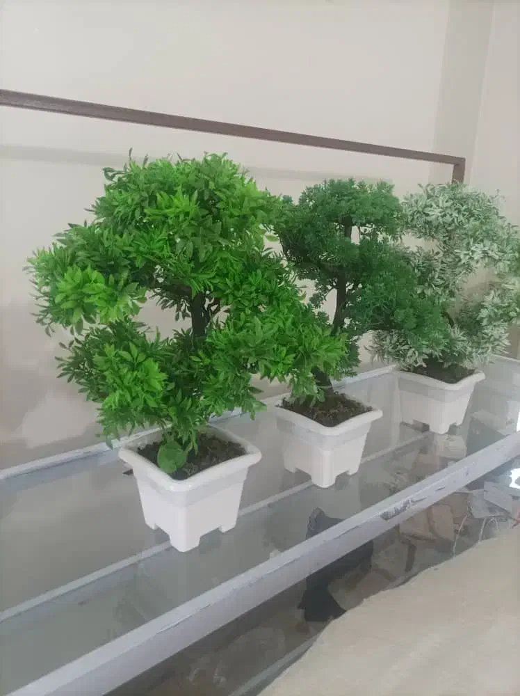 گلهای آپارتمانی|گل مصنوعی|اسلامشهر, مطهری|دیوار