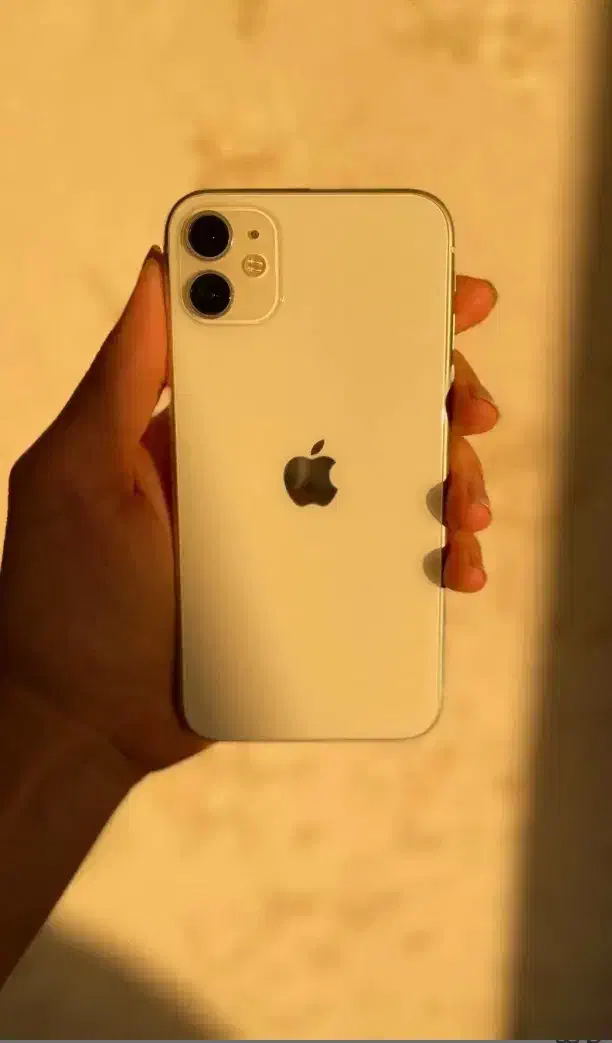 آیفون ۱۱ نرمال|موبایل|زابل, |دیوار