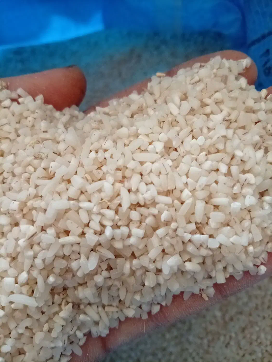 برنج نیم دونه هاشمی ۲۰کیلو۲۸۰۰|خوردنی و آشامیدنی|رشت, یخسازی|دیوار