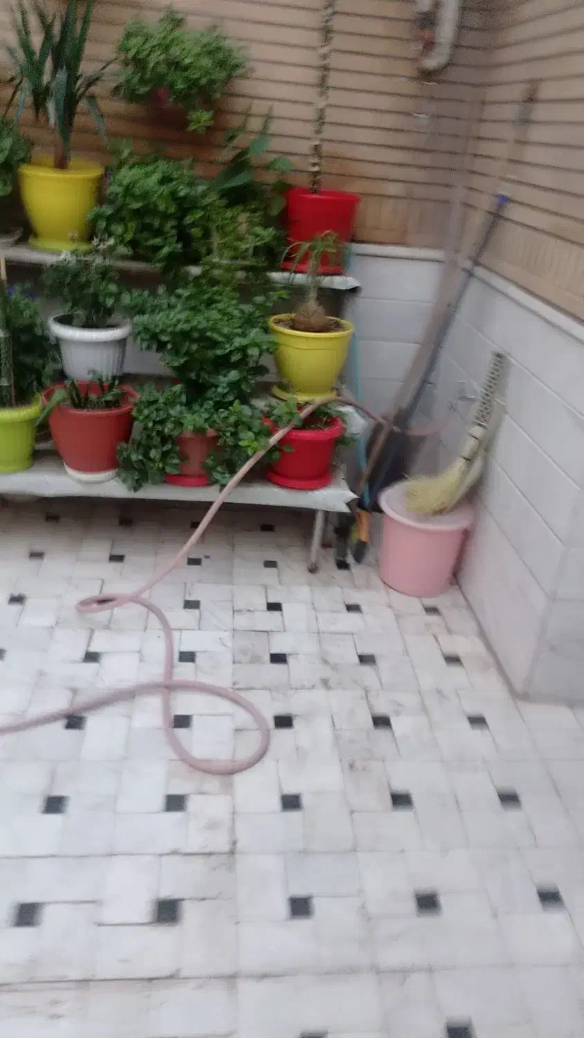 رهن و اجاره زیرزمین گلخونه راه جدا|اجارهٔ خانه و ویلا|قم, زنبیل آباد|دیوار