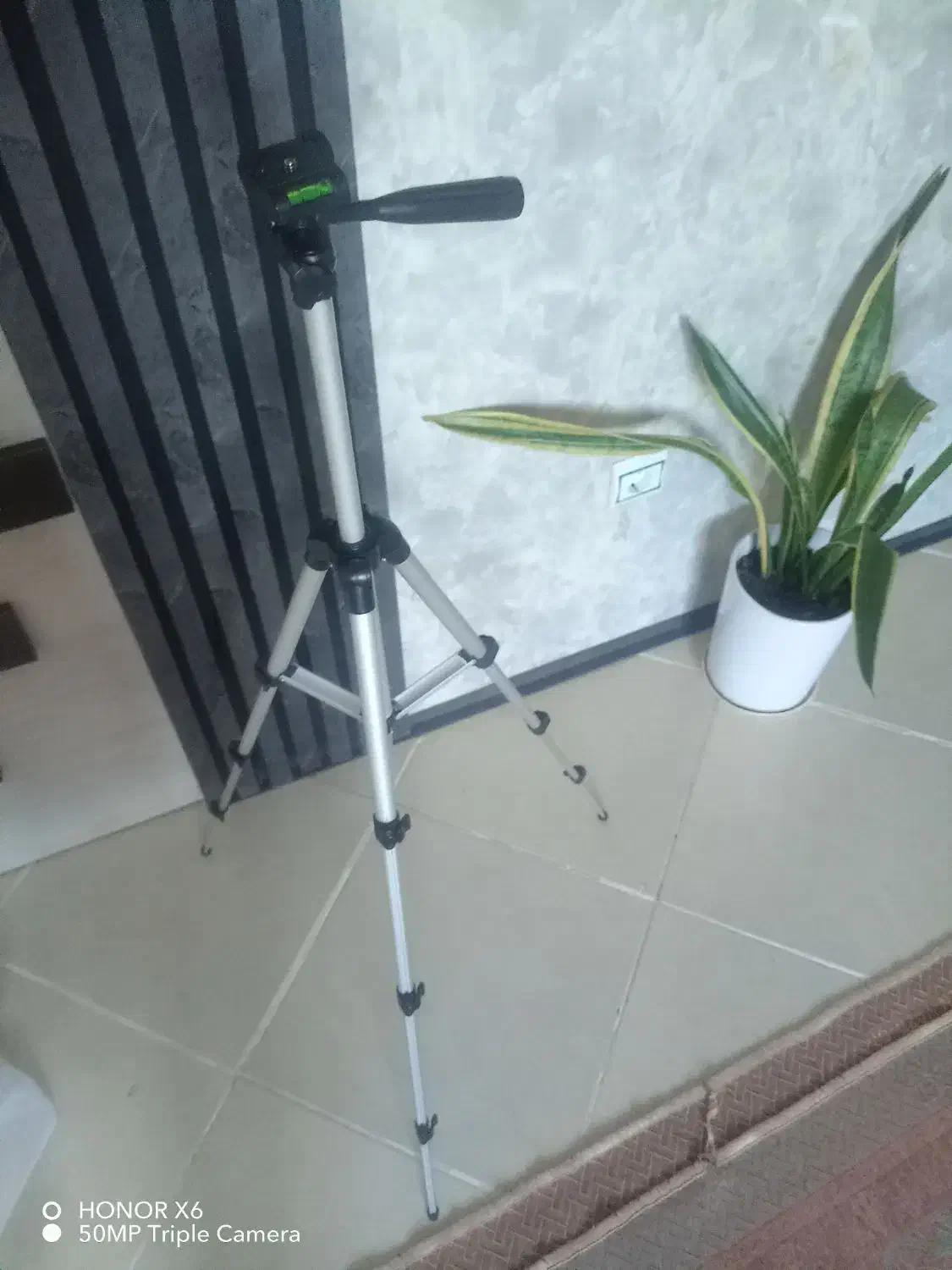 پایه دوربین|دوربین عکاسی و فیلم‌برداری|گلبهار, شهر جدید گلبهار|دیوار