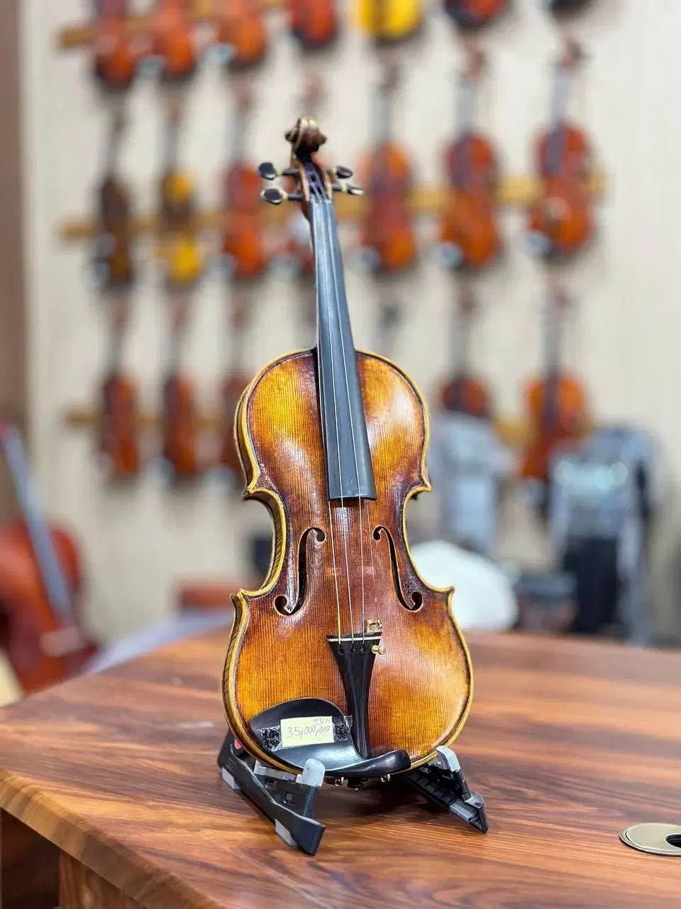 تخفیف ویولن به مناسبت روز دانشجو|ویولن|شیراز, سیلو|دیوار