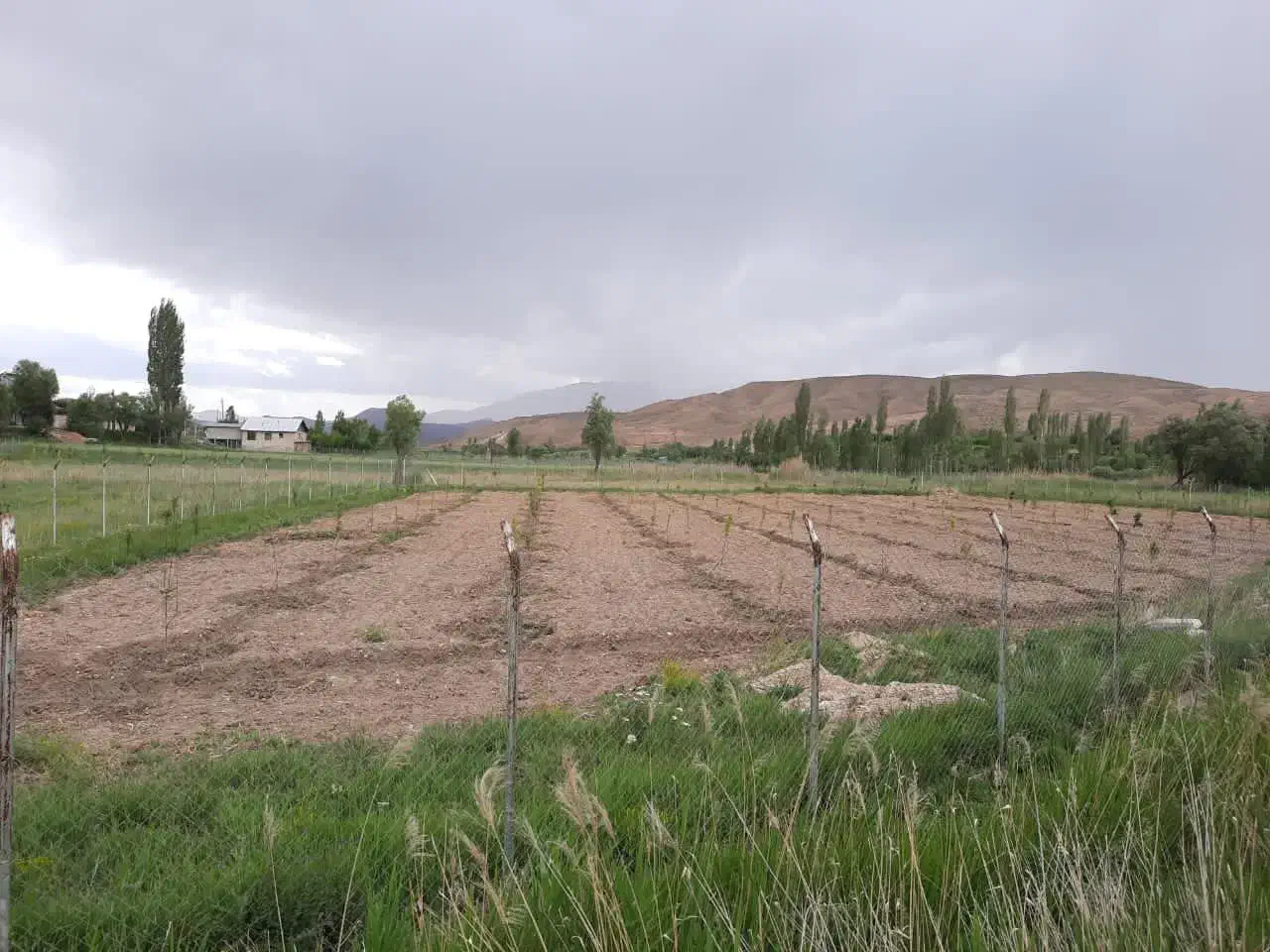 فروش باغ ۲۶۰۰ با ۴۰ متر بنا کانکسی|فروش خانه و ویلا|فیروزکوه, |دیوار