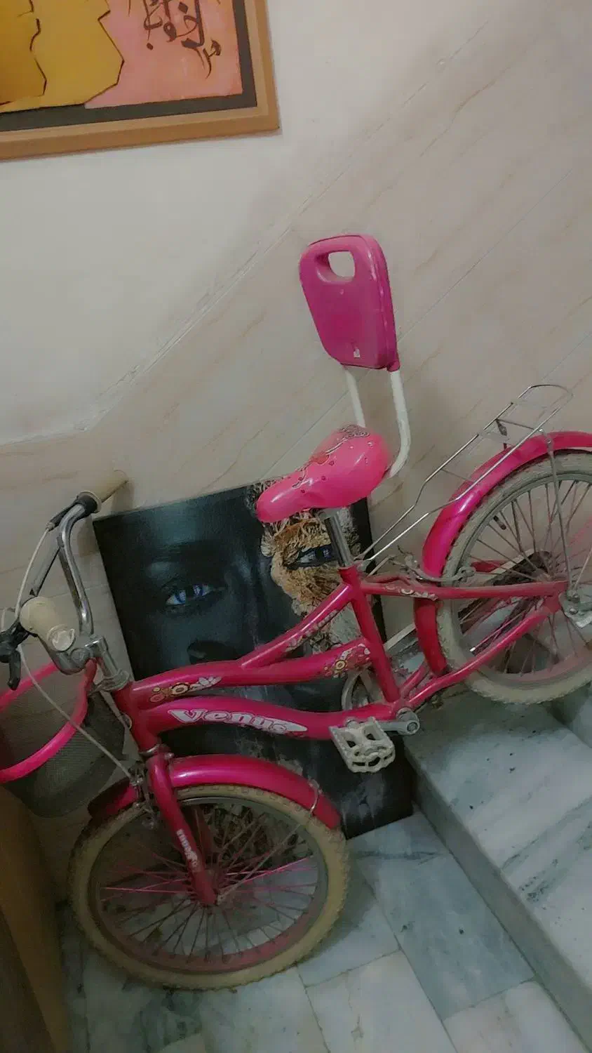 دوچرخه 20|دوچرخه، اسکیت، اسکوتر|تهران, وصفنارد|دیوار