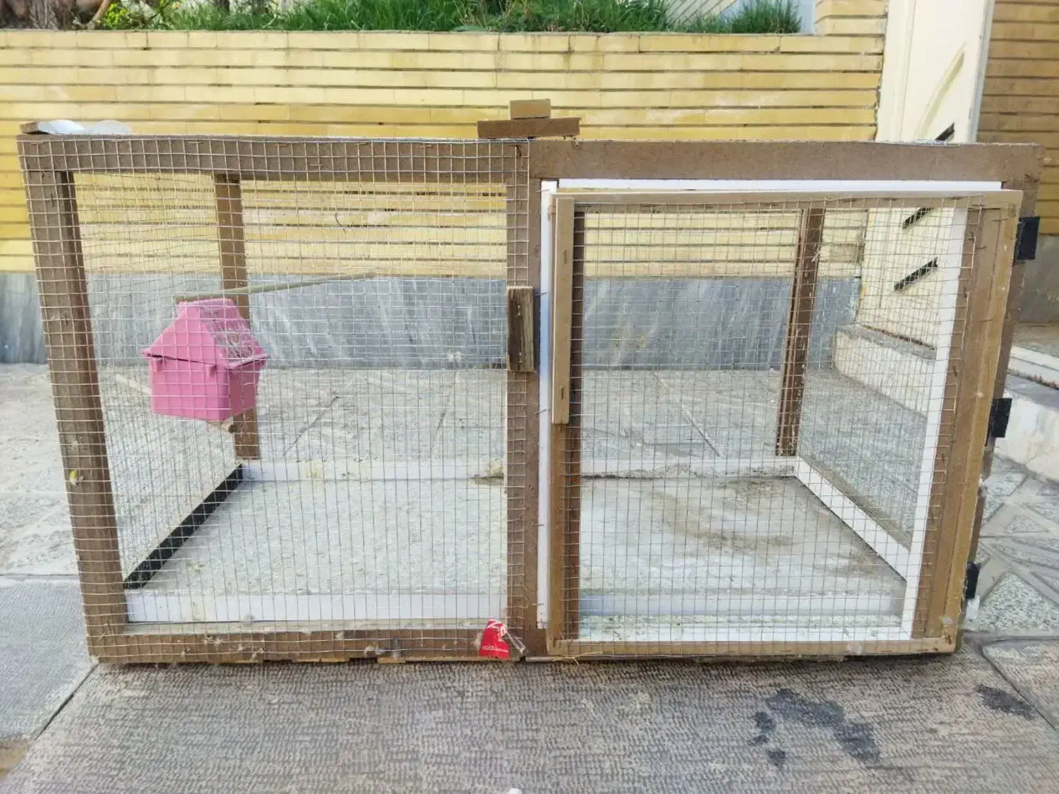 کبوتر کله ای قفس|پرنده|پیر بکران, |دیوار