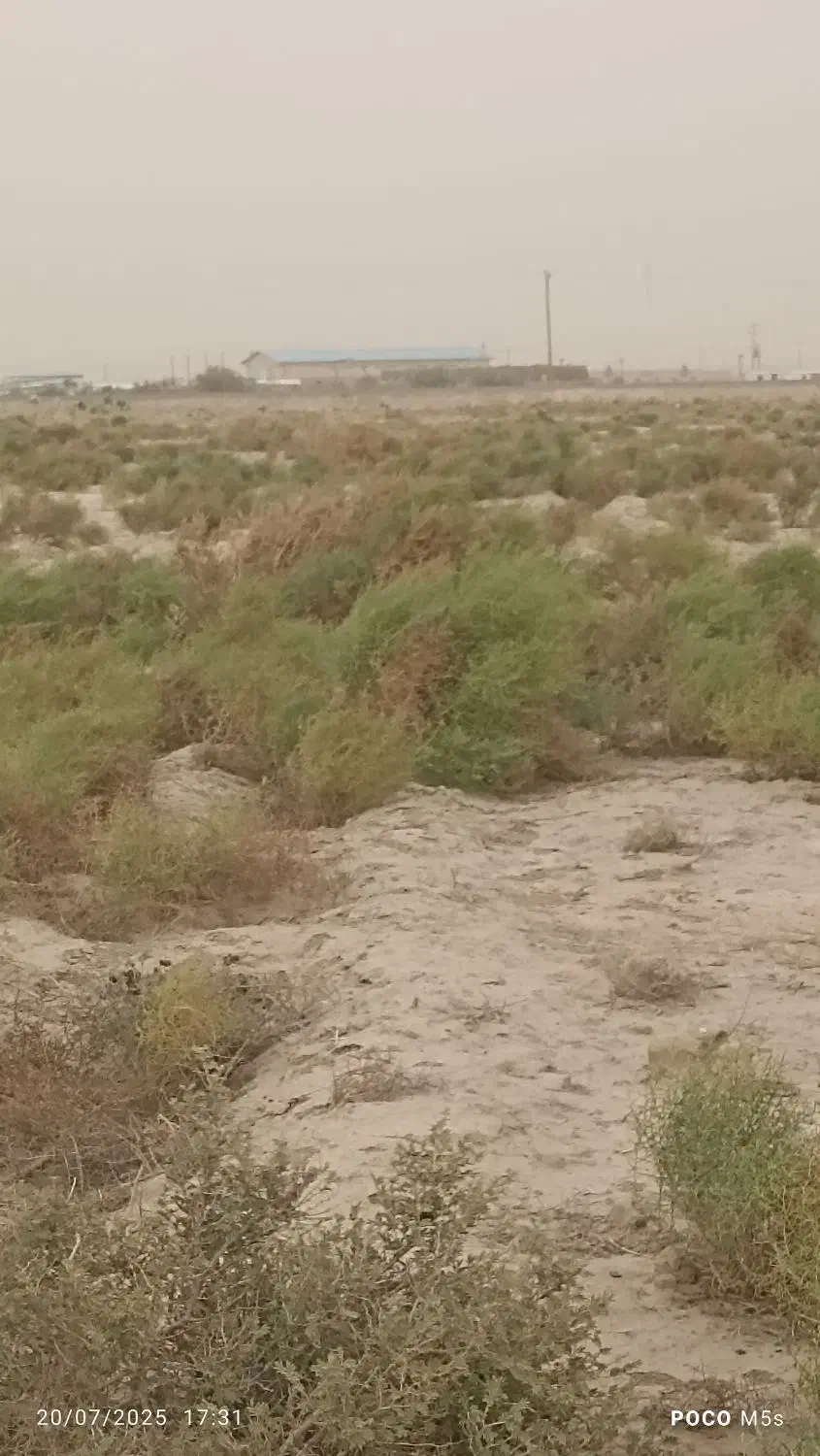 زمین کشاورزی|فروش دفتر صنعتی، کشاورزی، تجاری|زهک, |دیوار