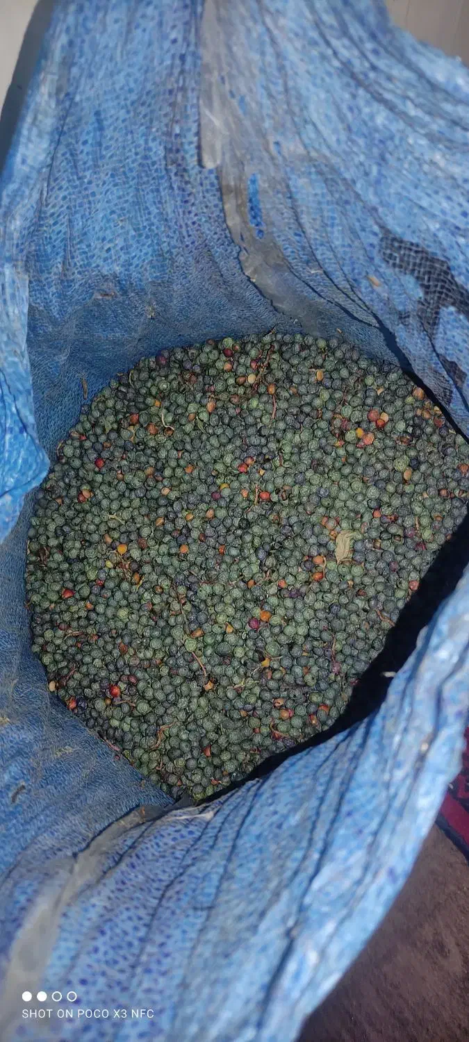 بنه یا خنجک|خوردنی و آشامیدنی|بیرجند, |دیوار