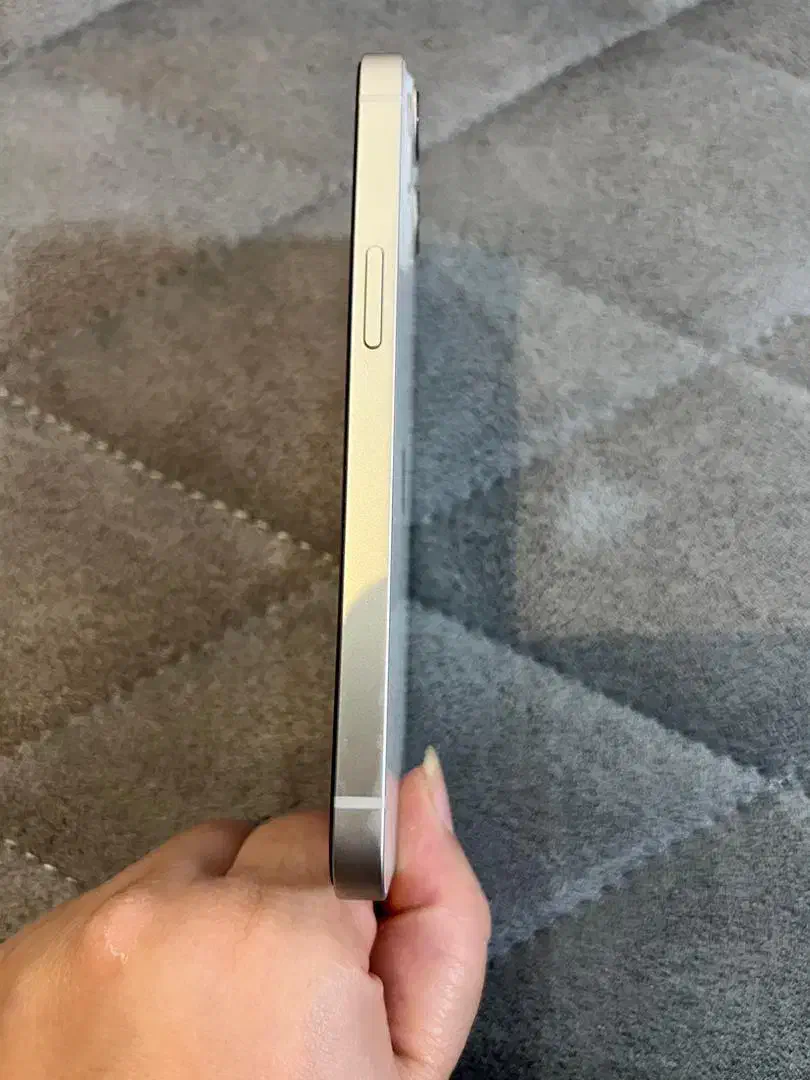 اپل iPhone 13 حافظهٔ ۱۲۸ همراه با شارژر و چند قاب|موبایل|رشت, یخسازی|دیوار
