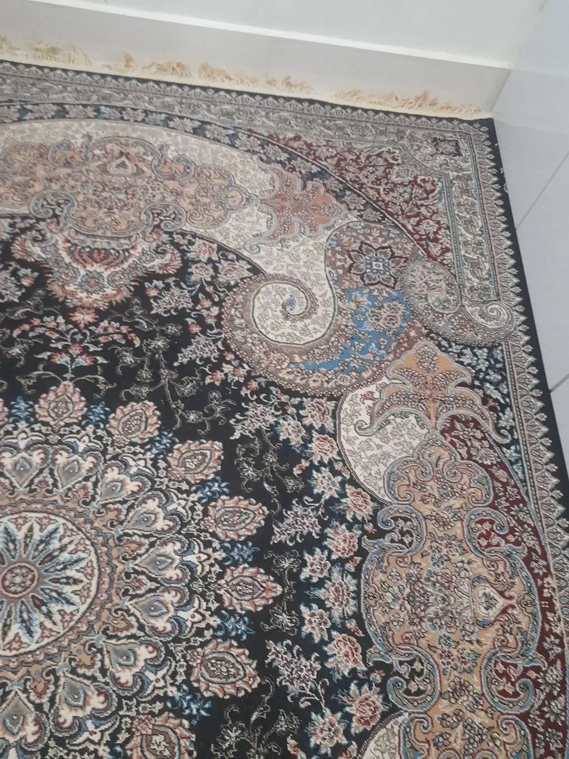 فرش ۶ متری در حد نو|فرش|کوهدشت, |دیوار