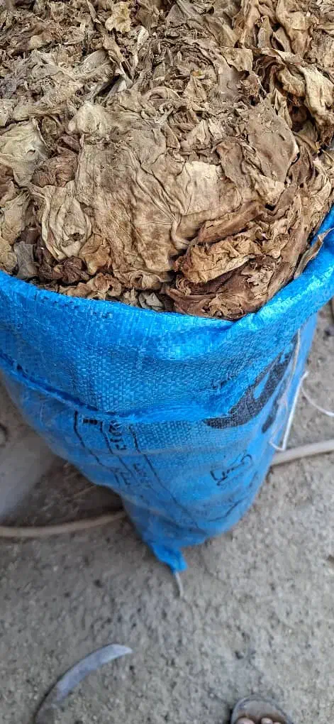 برگ خشک|خوردنی و آشامیدنی|کاکی, |دیوار