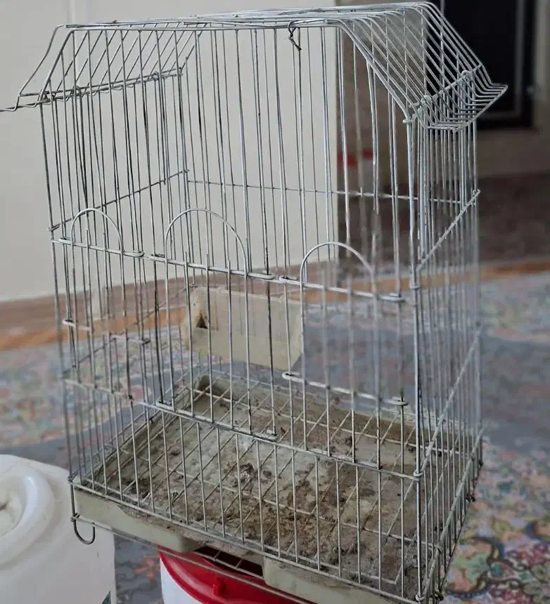 قفس پرنده|لوازم جانبی حیوانات|شهر ری, شهادت|دیوار