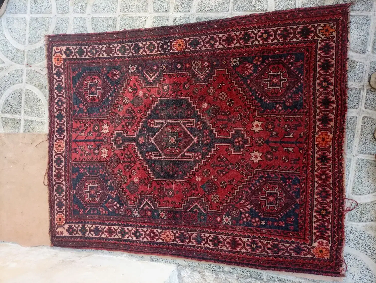 فرش دستباف ۴ متری|فرش|شیراز, پارک آزادی|دیوار