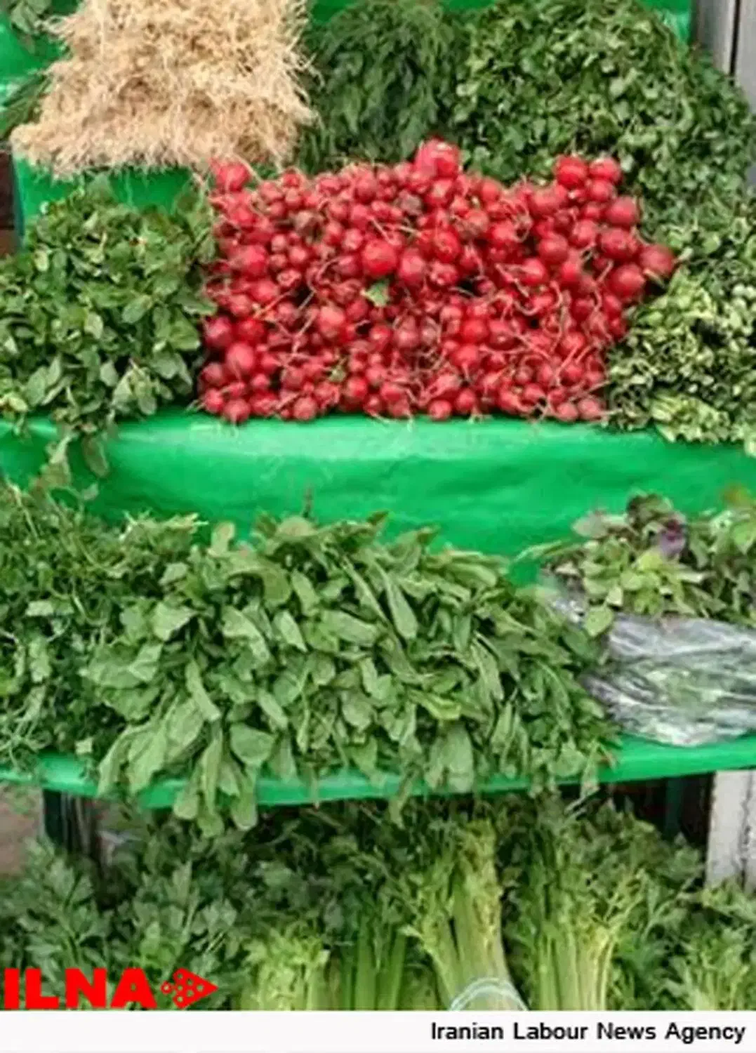 سبزی خوردن و خورشتی و معطر|خوردنی و آشامیدنی|قم, نوبهار|دیوار