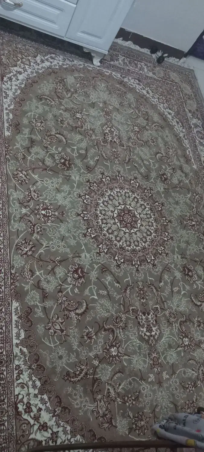 یک عددفرش 12متری درحدویک عدد فرش 6متری درحدنو|فرش|ایوانکی, |دیوار