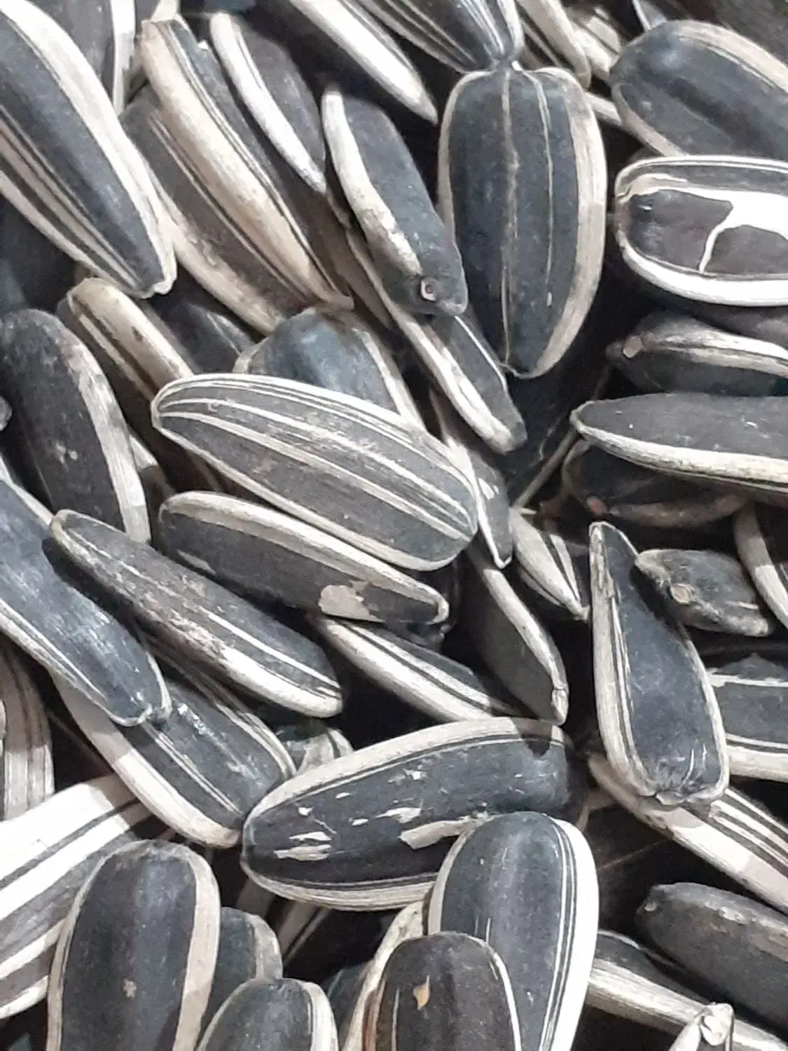 تخمهتازهدرشت|خوردنی و آشامیدنی|مشکیندشت, |دیوار