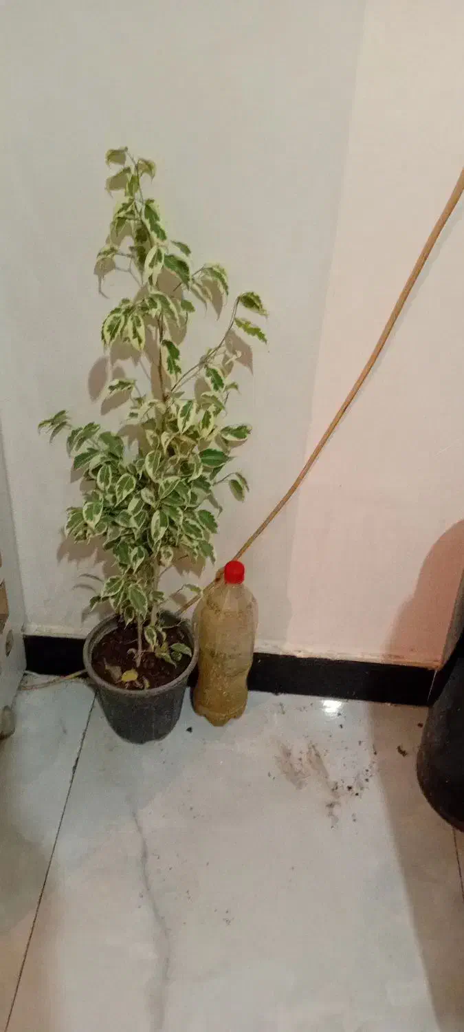 بازی نیست|کنسول، بازی ویدئویی و آنلاین|خرم‌آباد, |دیوار