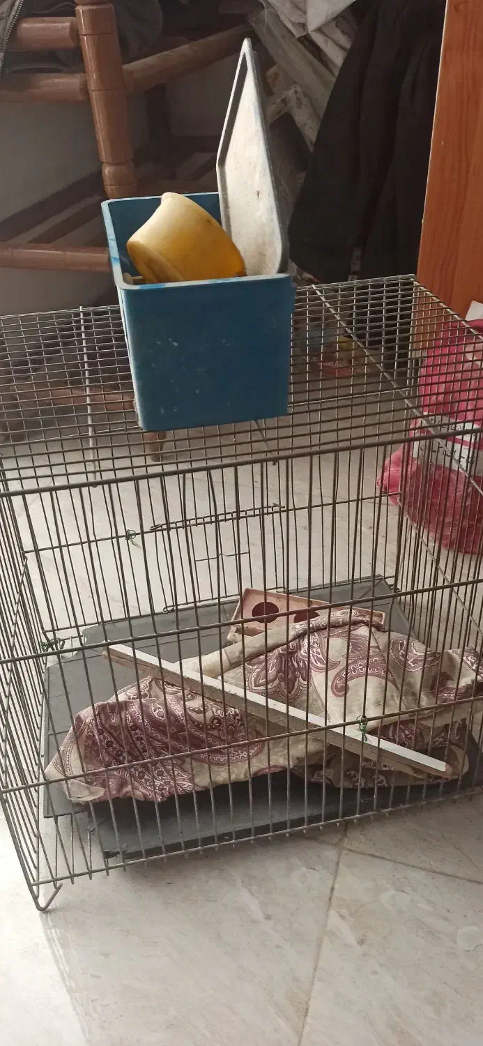 قفس|لوازم جانبی حیوانات|مشهد, شهید بهشتی|دیوار