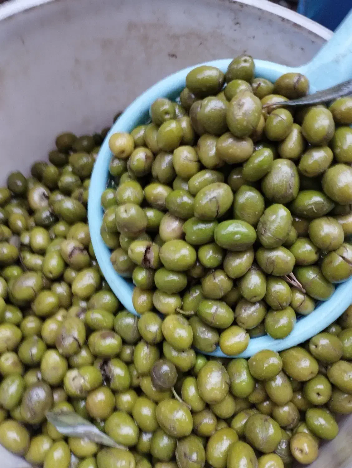 زیتون سبز و تازه|خوردنی و آشامیدنی|لاهیجان, امیرشهید|دیوار