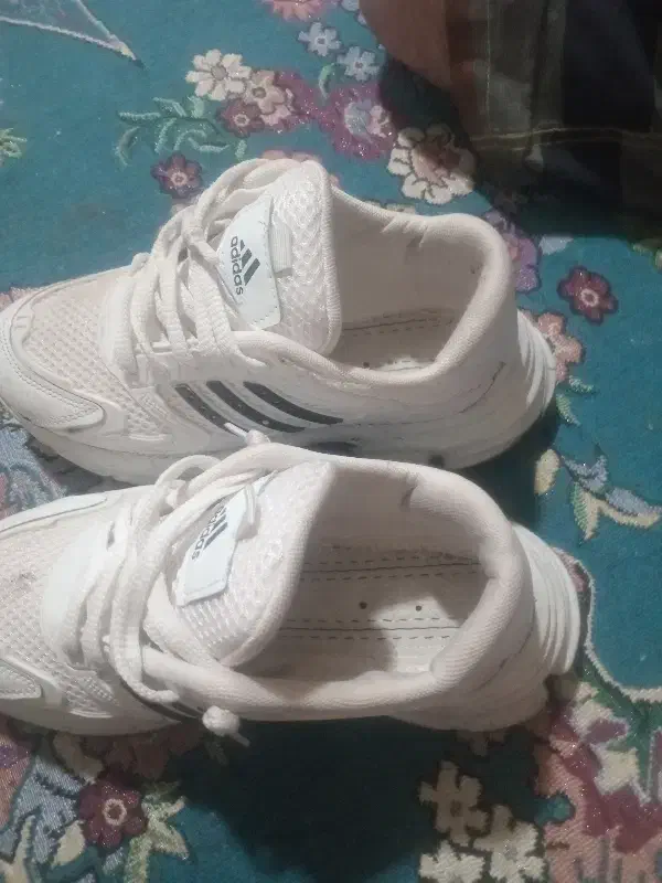 فروش کفش|کیف، کفش، کمربند|شهر بابک, |دیوار