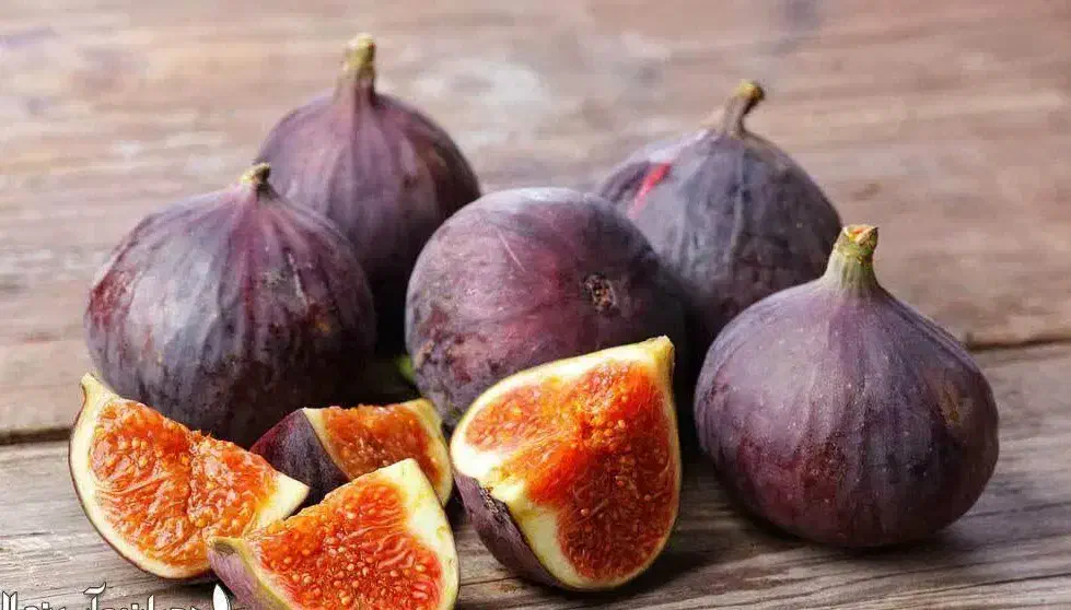 پیش فروش نهال انجیر سیاه سه فصل|خدمات باغبانی و درختکاری|آبگرم, |دیوار