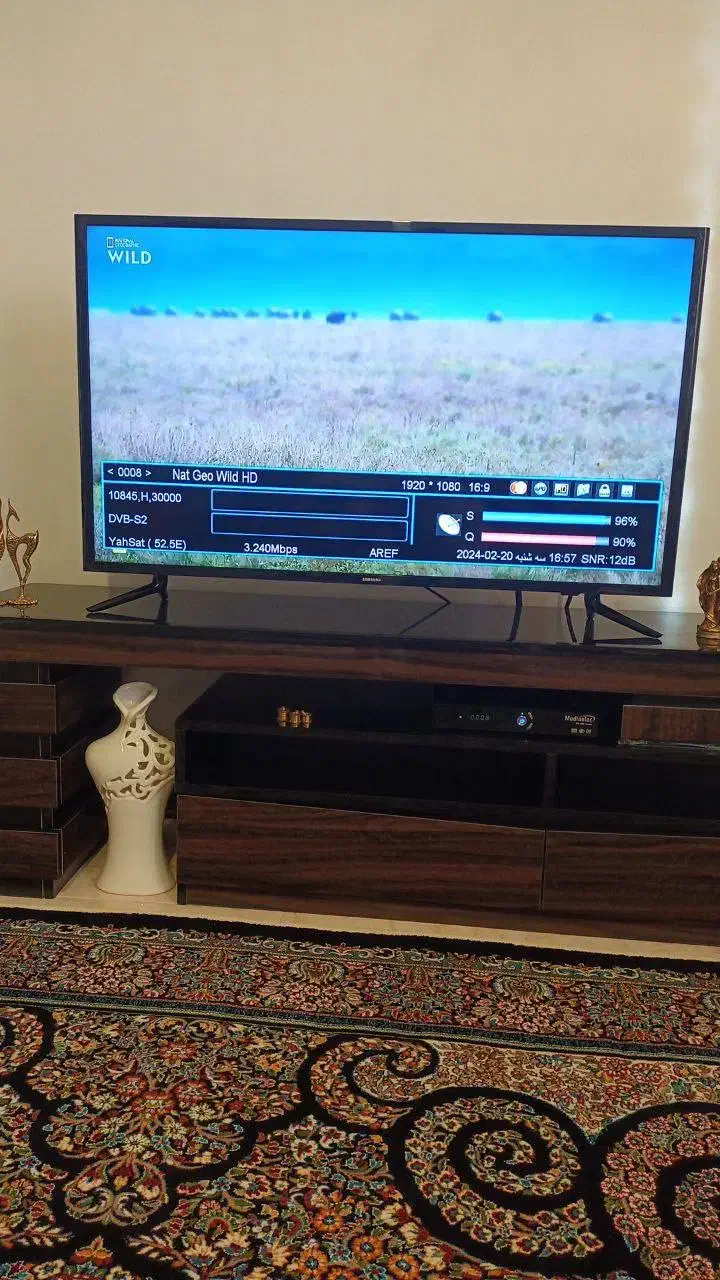 نصب انواع آنتن باضمانت|خدمات پیشه و مهارت|ساوه, |دیوار