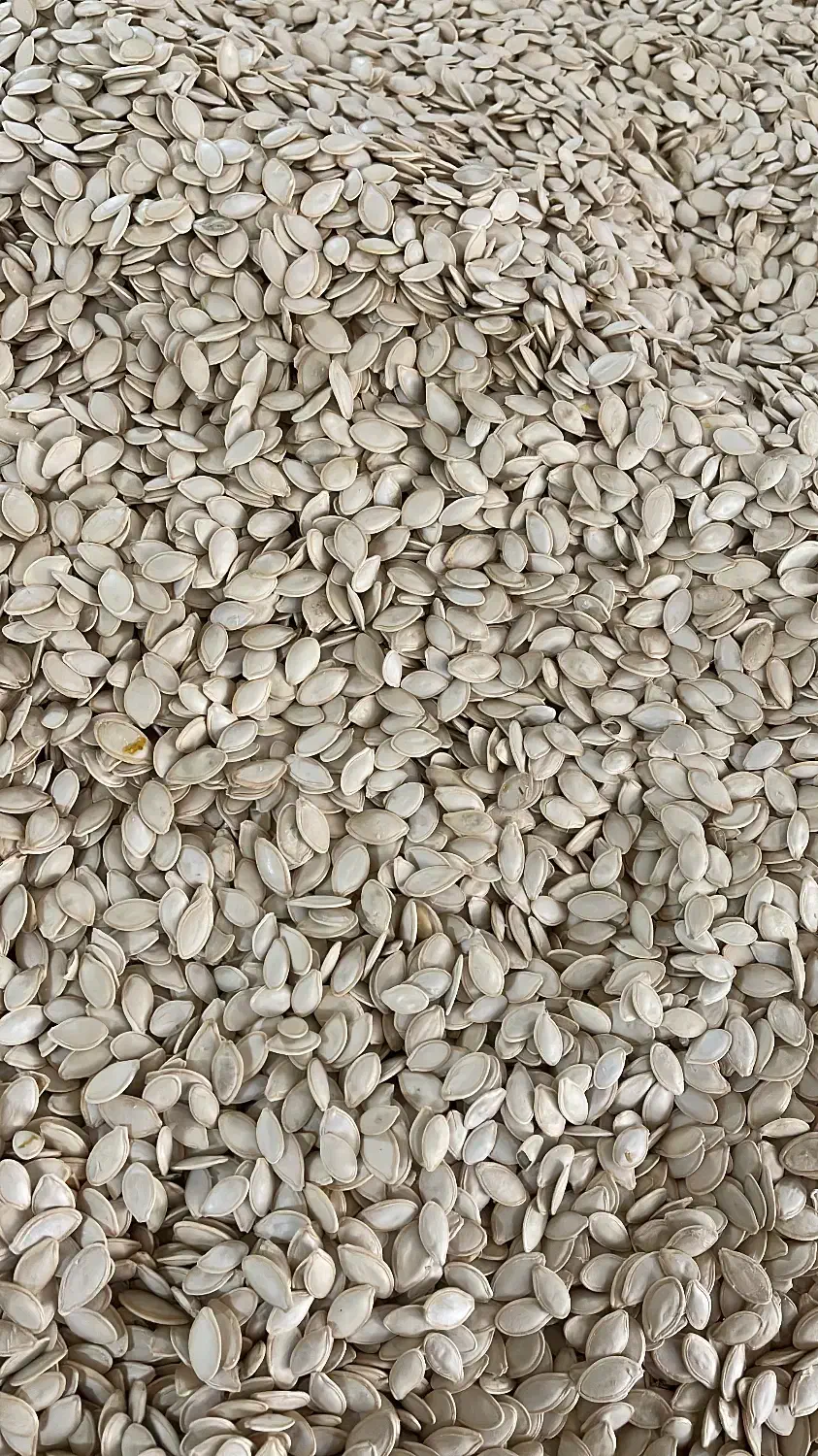 تفت و شورکاری،خرید و فروش خشکبار خام و شور|عمده‌فروشی|شیراز, شهرک گلها|دیوار