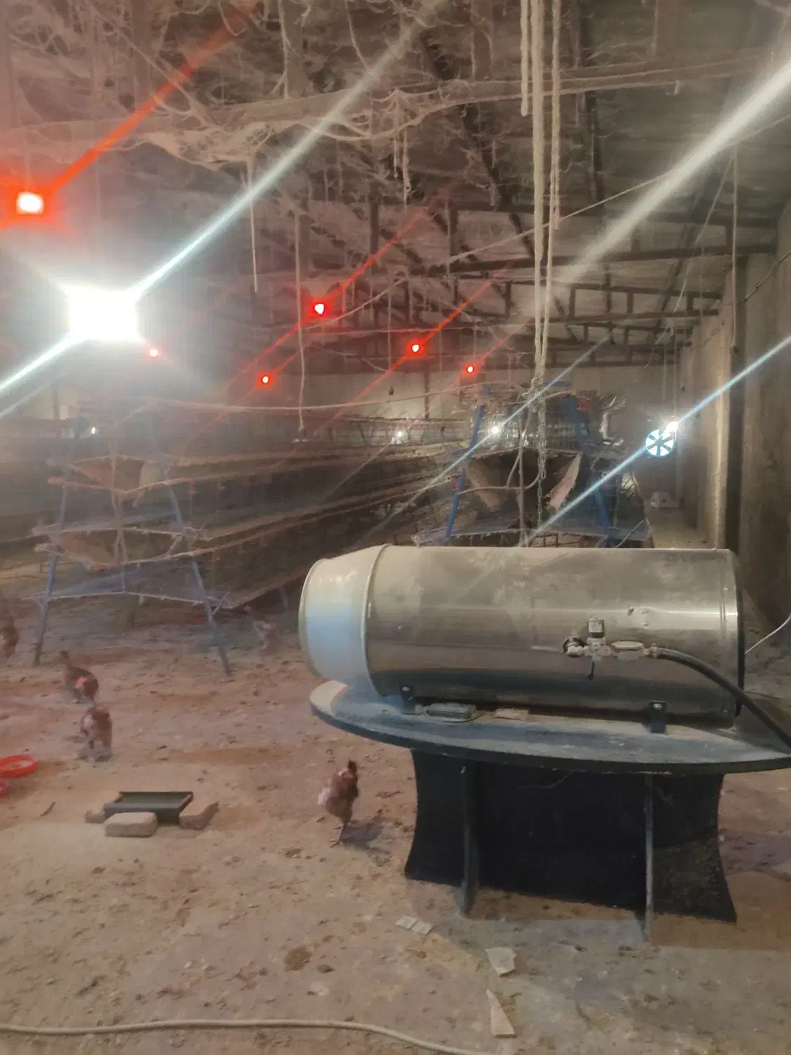 اجاره سوله ۵۰۰ متری با ۳۰۰ متر محوطه در ورامین|اجارهٔ دفتر صنعتی، کشاورزی، تجاری|جوادآباد, |دیوار