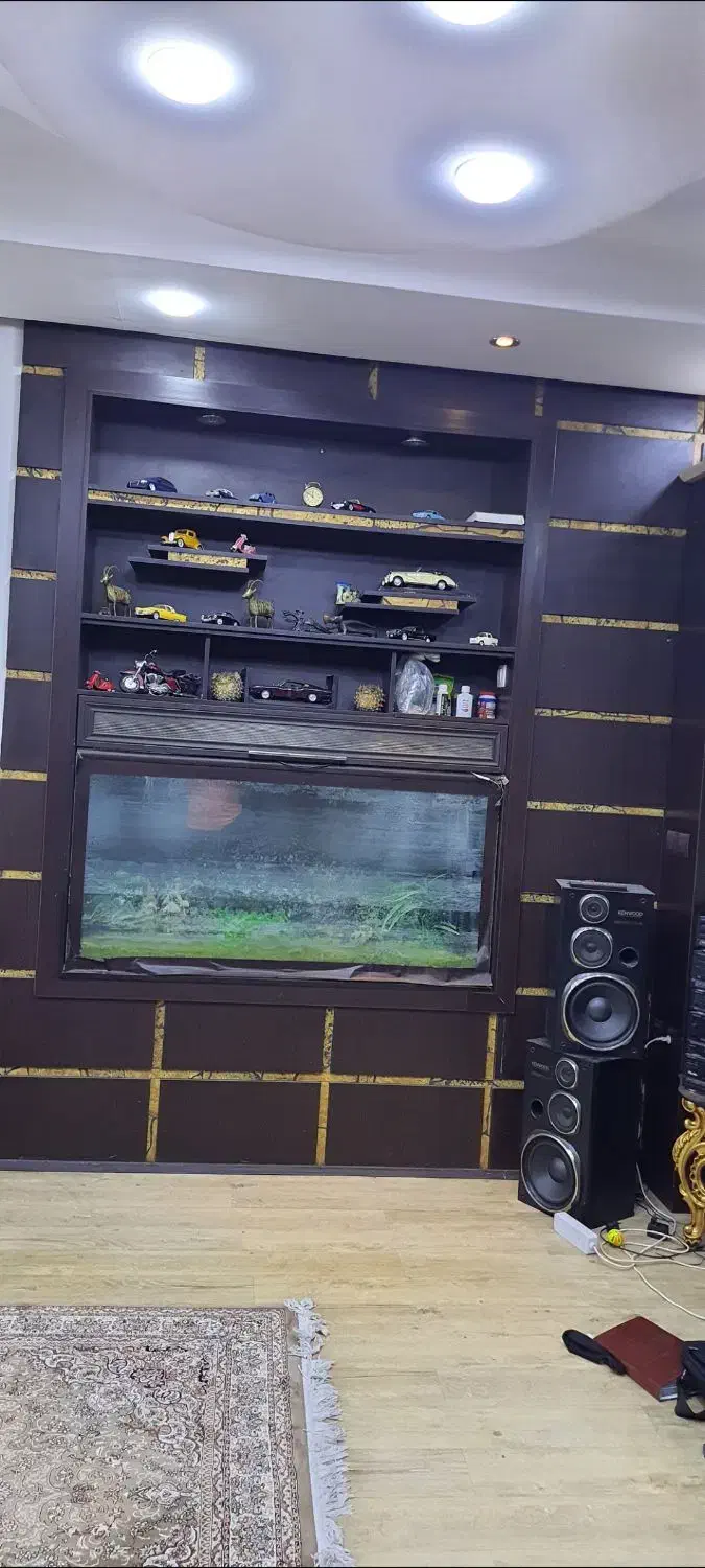 آکواریوم با تمامی امکانات|ماهی|شیراز, تندگویان|دیوار