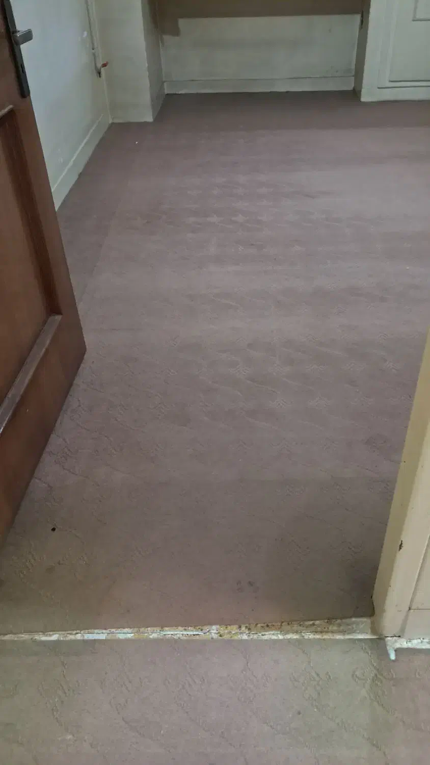 موکت|موکت|فولادشهر, B6|دیوار