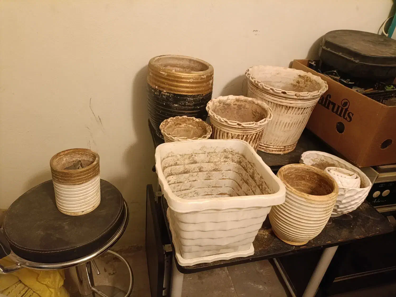 گلدان|گل و گیاه طبیعی|اصفهان, بهارستان|دیوار