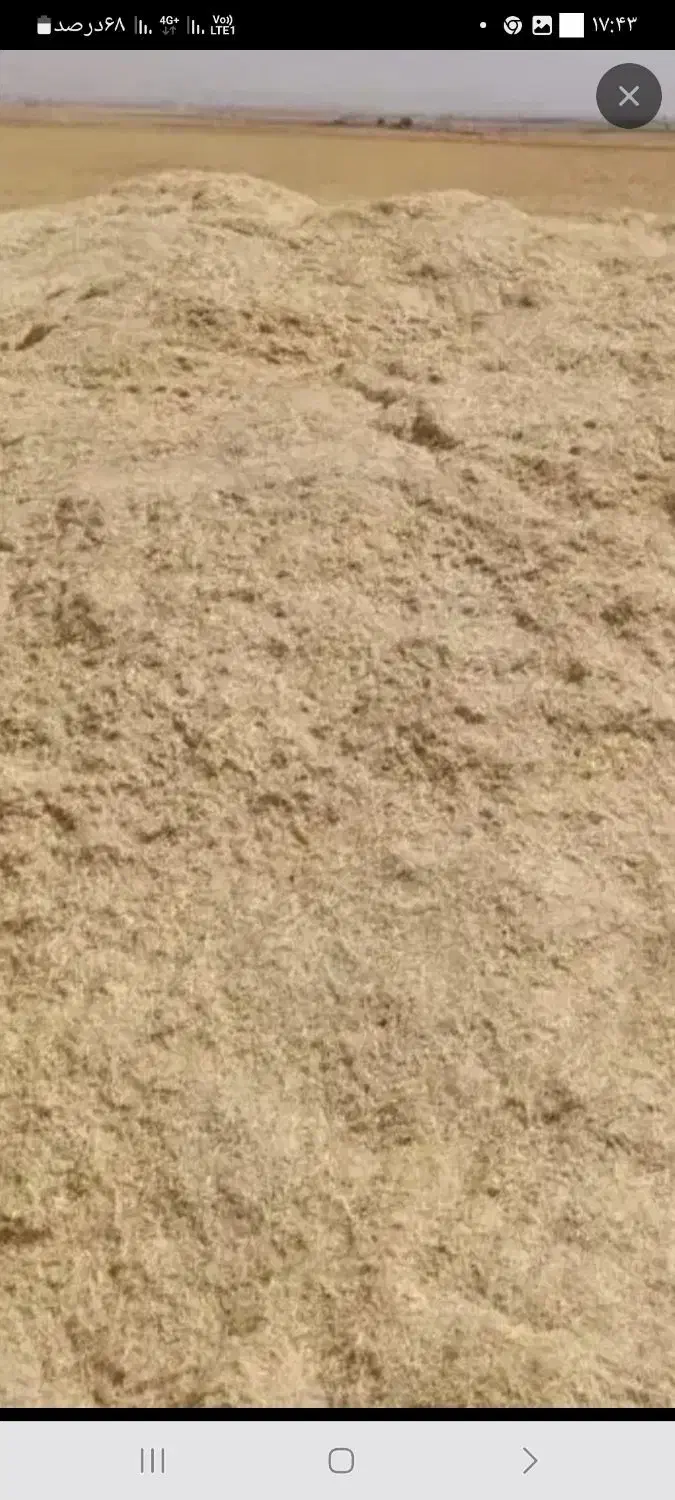 کاه دیم|لوازم جانبی حیوانات|سیلاخور, |دیوار