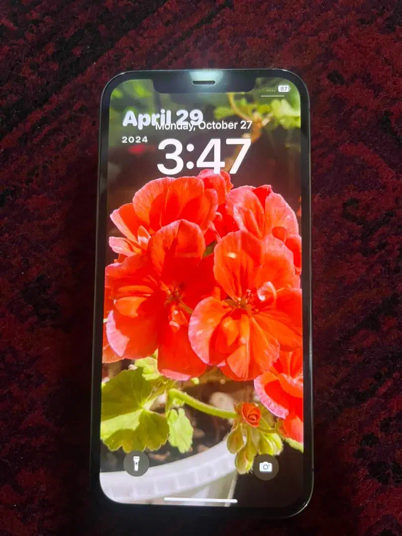 آیفون ۱۲ پرو|موبایل|رشت, آزادگان|دیوار