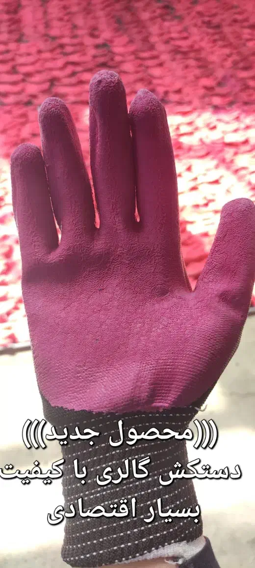 تولیدی دستکش ضد برش|لباس|اهواز, سپیدار|دیوار