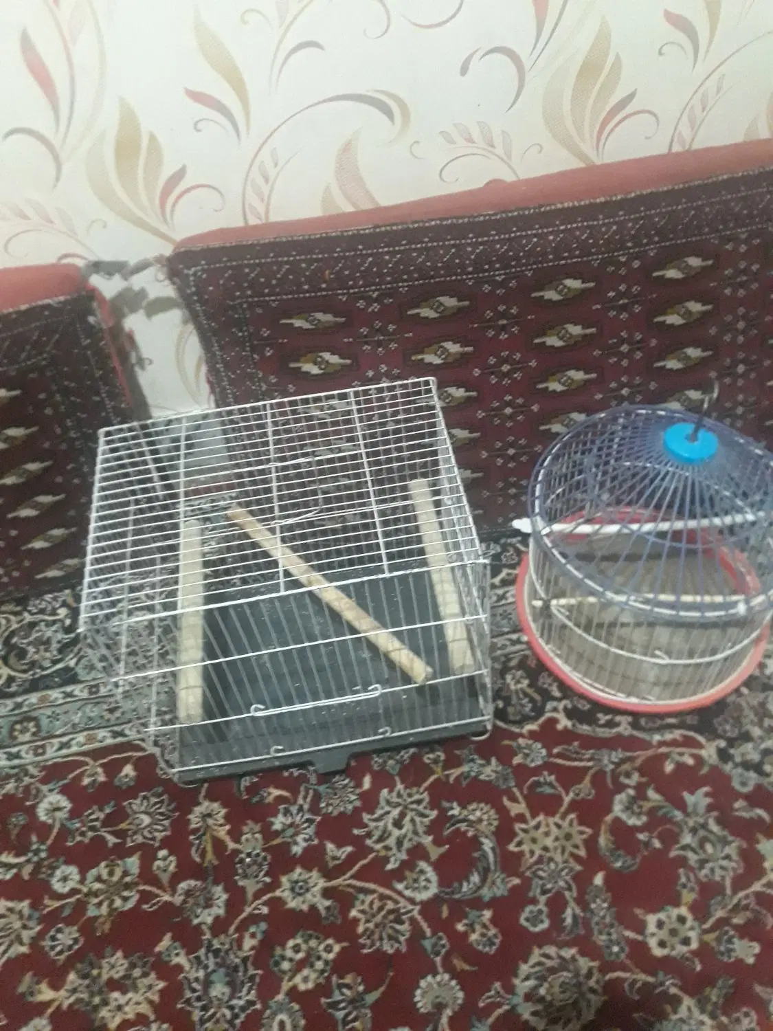 قفس|لوازم جانبی حیوانات|مشهد, گاز|دیوار