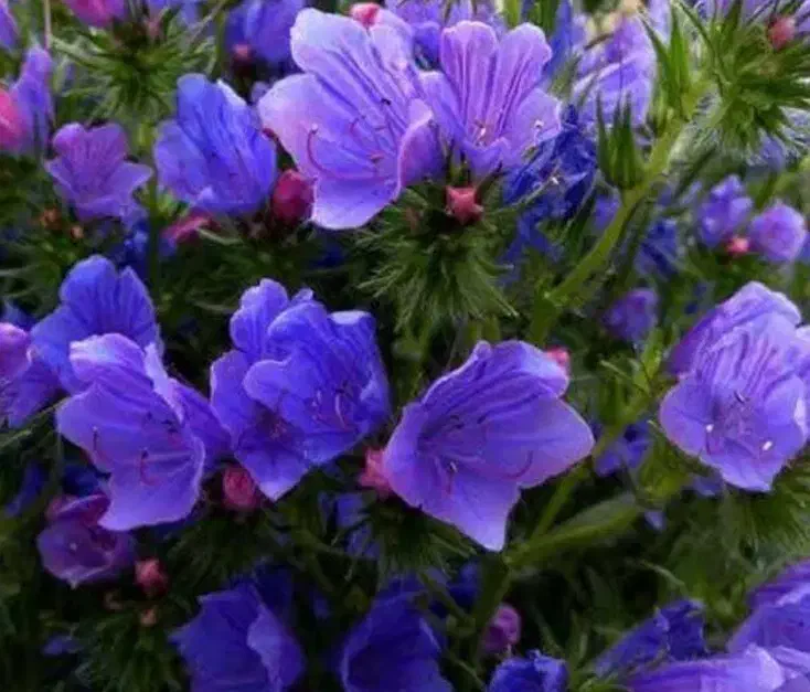 ادمین اینستاگرام|استخدام بازاریابی و فروش|تهران, شهرک صدرا|دیوار