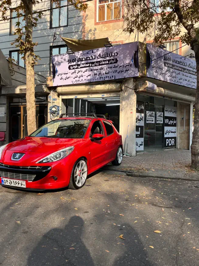 سرامیک بدنه ،بادی فنس، احیای رنگ|خدمات موتور و ماشین|تهران, جوادیه تهرانپارس|دیوار