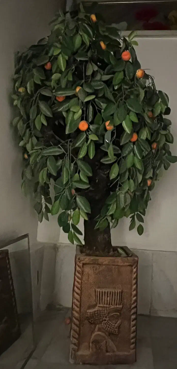 درخت مصنوعی پر برگ و میوه|گل و گیاه طبیعی|اصفهان, باغ زرشک|دیوار