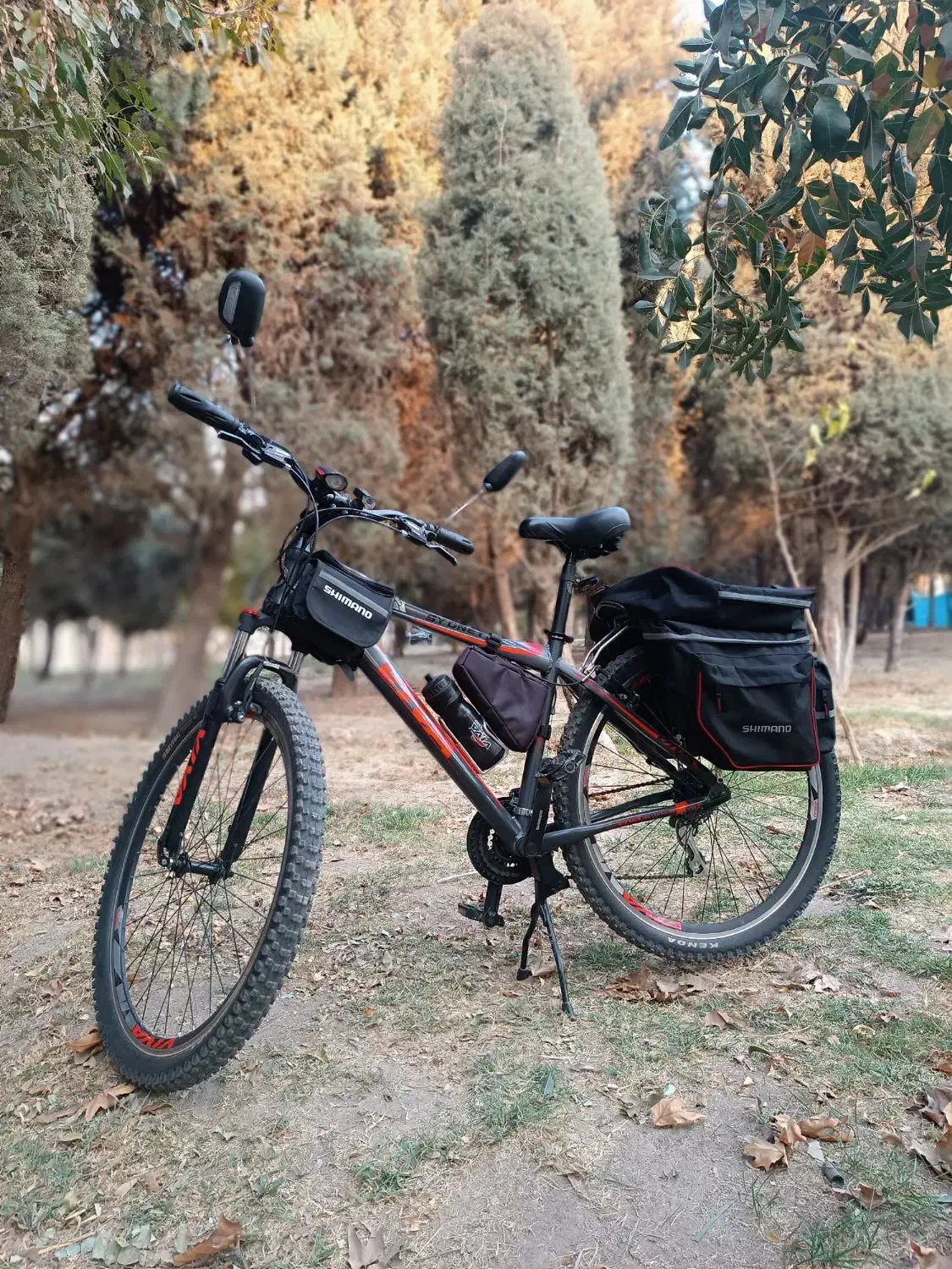 دوچرخه ویوا ۲۹|دوچرخه، اسکیت، اسکوتر|محمدشهر, ولدآباد|دیوار