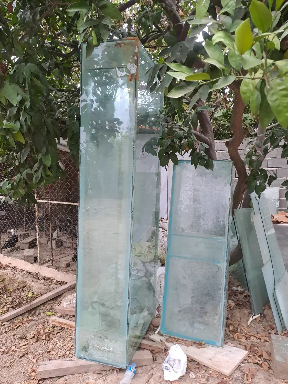 شهر اکواریوم|ماهی|ساری, |دیوار