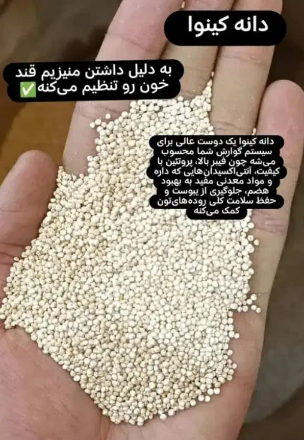 کینوا برای کودکان وسالمندان|خوردنی و آشامیدنی|شیراز, شهرک امام حسن|دیوار