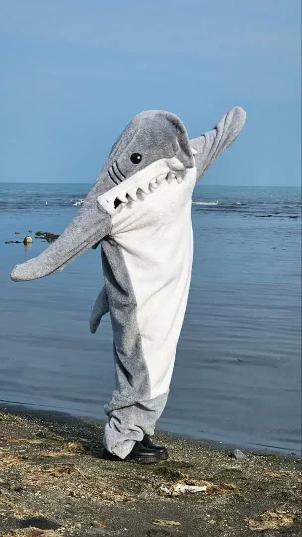 پتو کوسه ای|رختخواب، بالش، پتو|نجفآباد, ریاضی|دیوار