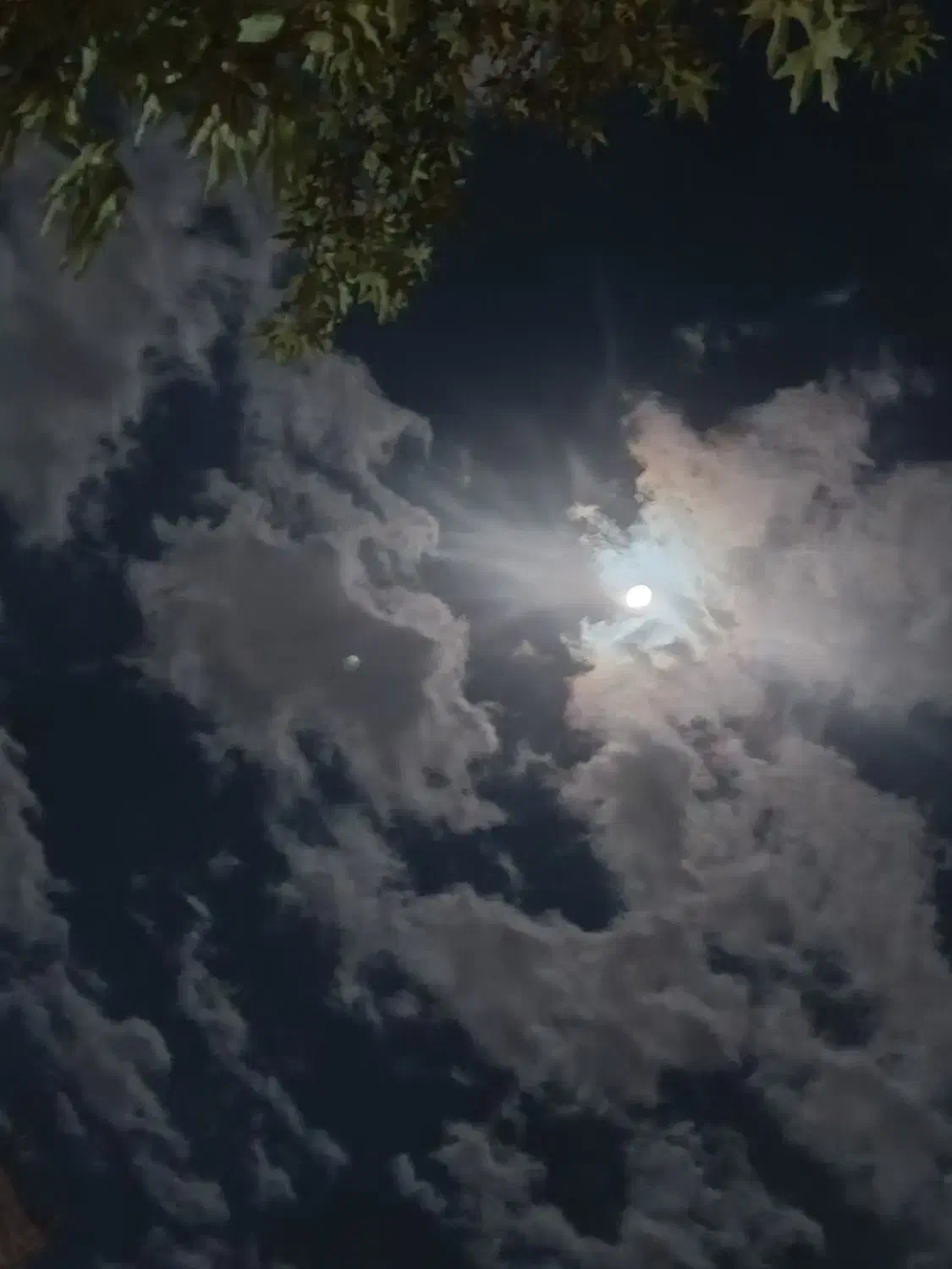 فال و سرکتاب|کتاب و مجله مذهبی|گرگان, |دیوار