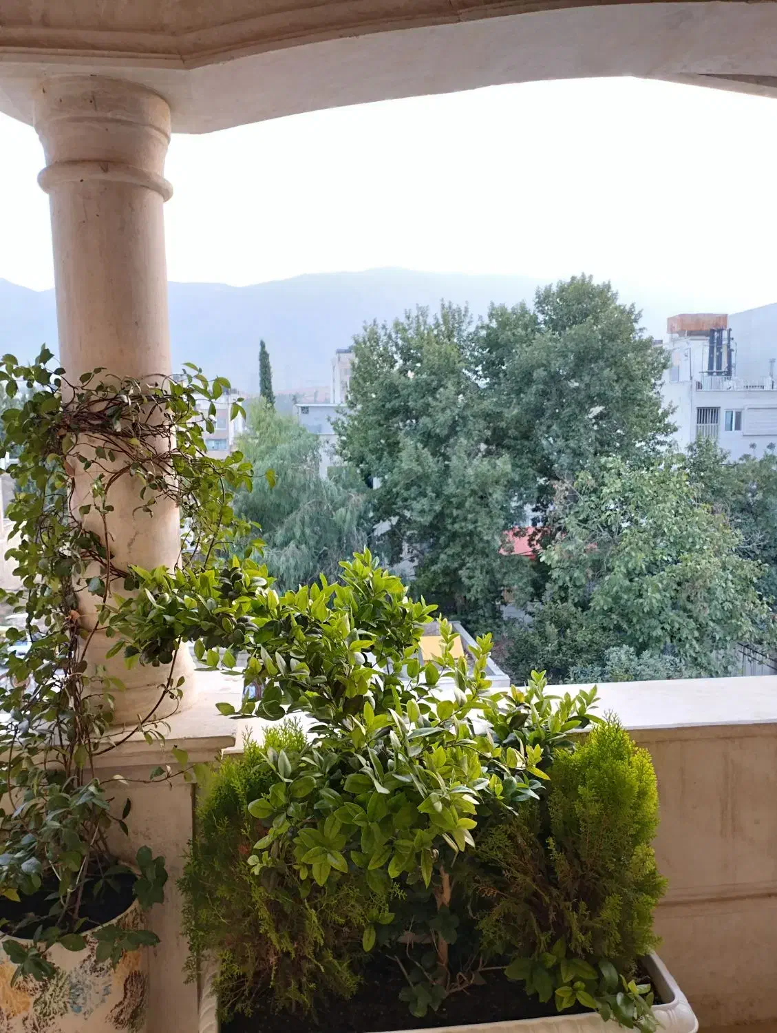 ویو باغ تک واحدی گزینه نهایی تکمیل|فروش آپارتمان|شیراز, تاچارا|دیوار